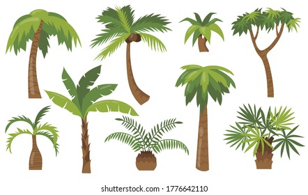 Various cartoon palm trees flat icon set. Jungle banana, coconut or pineapple trees with green leaves vector illustration collection. Beach plants and tropical vacation concept