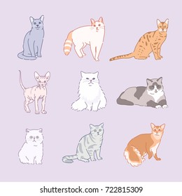 various cat breeds line drawing vector illustration flat design