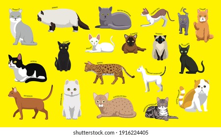 Various Cat Breeds with Name Cartoon Character Set 1