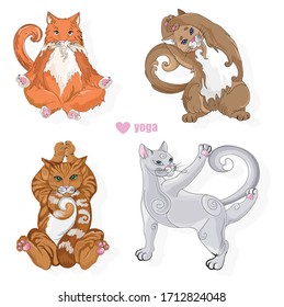 Various cat of different colors doing yoga poses. Vectors