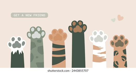 Various cat paws, print leg foot. Help adopt animal pet, donate concept. Close up paws, friends forever. Get new friend, horizontal banner. Adopt - do not shop. Veterinarian care. vector illustration