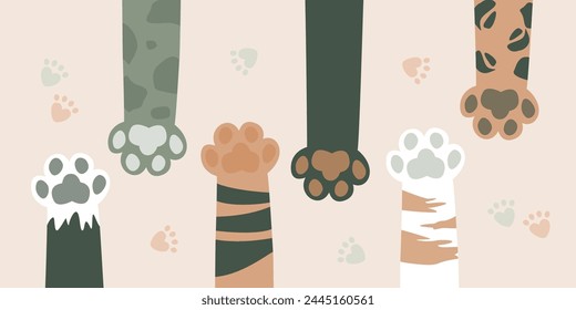 Various cat paws, print leg foot. Help adopt animal pet, donate concept. Close up paws, friends forever. Get new friend, horizontal banner. Adopt - do not shop. Veterinarian care. vector illustration