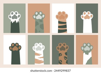 Various cat paws, print leg foot. Help adopt animal pet, donate concept. Set of close up paws, friends forever. Get new friend, horizontal banner. Adopt - do not shop. Veterinarian care. flat vector