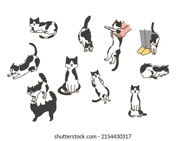Various cat poses Happy pets living with humans Warm handwritten animals
