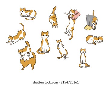 Various cat poses Happy pets living with humans Warm handwritten animals