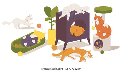 Various cat sleeping and playing. Furniture and bed for small dogs or kitten. Isolated on white background cartoon illustration