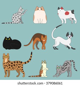 various cats
