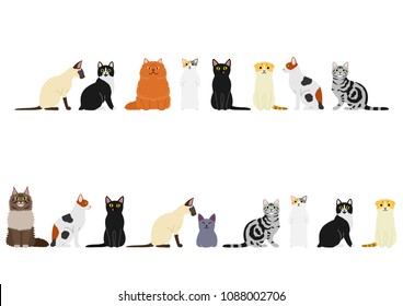 various cats border set