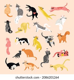 Various cats character set of isolated icons with pets of different hair color and spots shape vector illustration