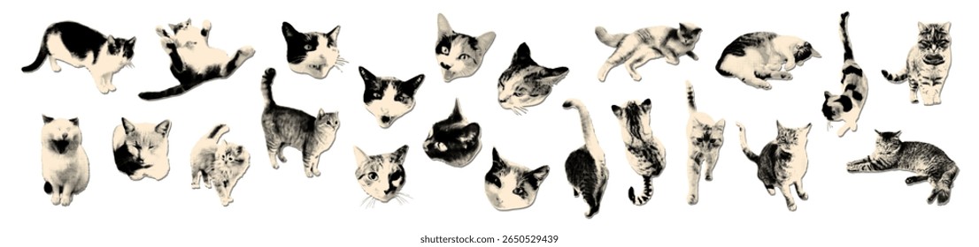 Various cats halftone art collage cut outs set. Paper clipping shapes collection, stickers with vintage dotted texture. Modern retro grunge mixed media vector illustration on transparent background