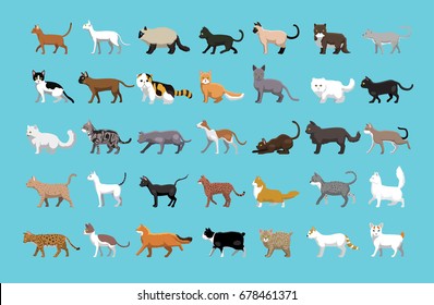 Various Cats Side View Cartoon Vector Illustration