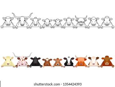 various cattle heads in a row