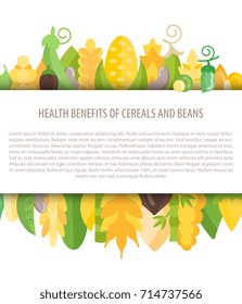 Various cereals and beans isolated on white background. Horisontal banner for farmer market. Poster with place for text.