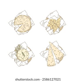 Various cheese in beautiful hand drawing illustration style