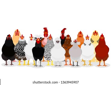 various chicken group