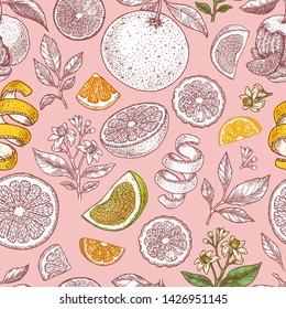 Various citrus seamless pattern. Engraved style. Vector illustration