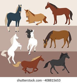 Various color horses Various poses vector design
