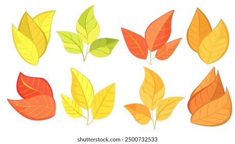 Various colorful autumn leaves in different shapes, illustrated in a vibrant graphic style on a white background, representing fall season. Vector illustration
