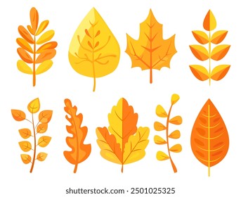 Various colorful autumn leaves in different shapes, illustrated in a vibrant graphic style on a white background, representing fall season. Vector illustration