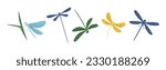 Various Colorful Dragonflies Flying with Long Wings Vector Set