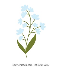 Various colorful flowers with green leaves on a white background. Spring and Summer Season