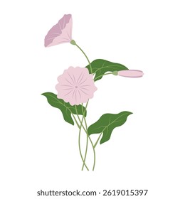 Various colorful flowers with green leaves on a white background. Spring and Summer Season