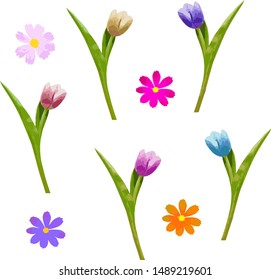 Various colorful flowers, vector. Holiday card, cover, print.
