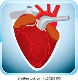 Various colorful health care icons for your designs.