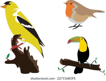 vector de pájaro simple y colorido