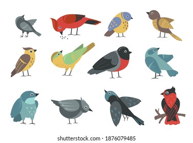 Ilustraciones Imagenes Y Vectores De Stock Sobre Aves Domesticas Shutterstock