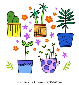 Various colorful vector house plants, collection of isolated illustrations cactus, tree and others in pots and cups.