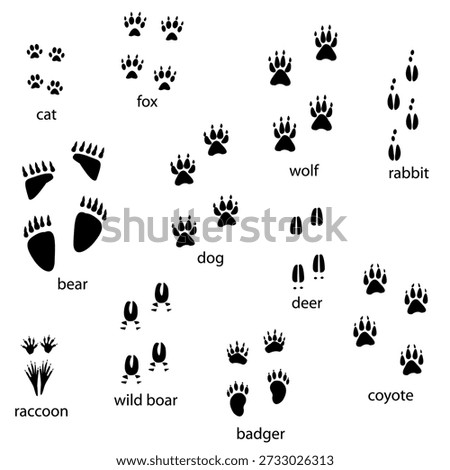 Various common animal paw print silhouettes