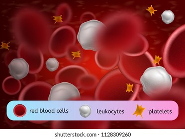 Various Components of Human Blood Circulating in Bloodstream Realistic Vector. Red Blood Cells Erythrocytes, White Blood Cells Leukocytes and Platelets or Thrombocytes Cells Magnified Illustration