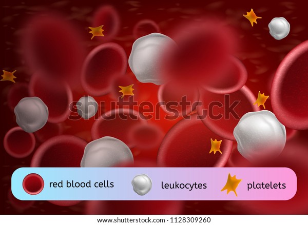 Various Components Human Blood Circulating Bloodstream Stock Vector ...