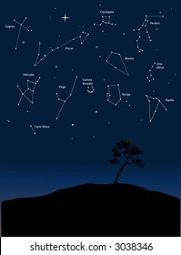 various constellations in a starry night sky