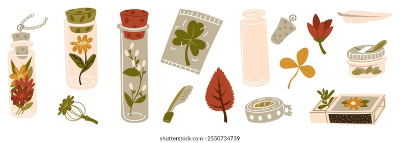 Varios recipientes con ramas, ramitas, semillas en el interior. Floristería casera para la memoria. Un frasco Pequeño, una caja para guardar recuerdos. Terrario para plantas, herbario, flores secas. Ilustración vectorial