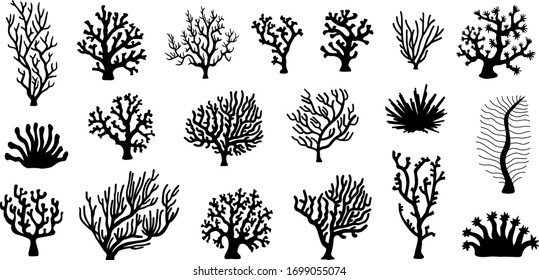 various coral with rider silhouette on the white background