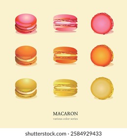 Various cross sections of colorful macarons