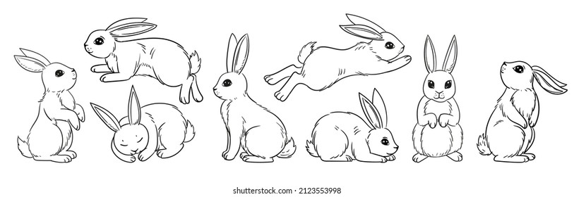 Varios lindos conejillos, primavera, conejito de Pascua al estilo de sketch. El conejo se sienta, duerme y salta la ilustración vectorial aislada en blanco. Estilo de garabato, dibujo a mano, gráfico.