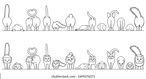 various cute cats border in a row, front view and rear view