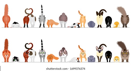 various cute cats border in a row, front view and rear view