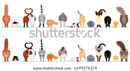 various cute cats border in a row, front view and rear view