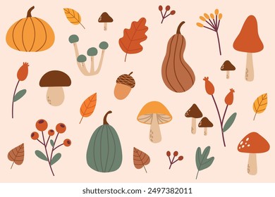 Various cute and cosy autumnal elements. Hand drawn vector illustration. All elements are isolated. Fall, Thanksgiving Day, Autumn season.