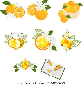 Various cute orange miscellaneous goods icons such as jewel, crystal, tiara and book