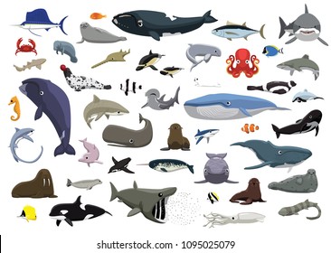 Various Cute Sea Animals Cartoon Vector Illustration