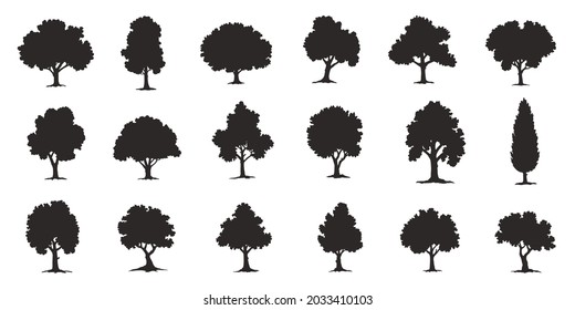 various deciduous trees silhouettes on the white background