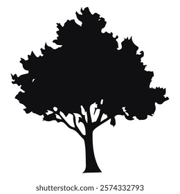 various deciduous trees silhouettes on the white background, Black tree silhouettes isolated on white 
vector illustration.