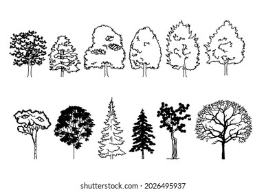 Varios árboles caducifolios, siluetas blancas y negras y dos árboles de pieles.