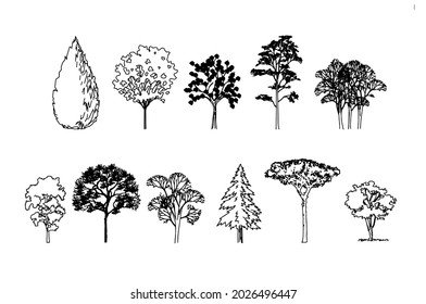 522 Ashe juniper Images, Stock Photos & Vectors | Shutterstock