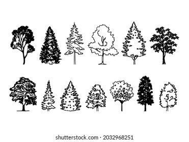 
Various deciduous trees, white and black silhouettes, Two fur trees.